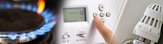 Hob Burner, Programmable room thermostat and Thermostatic Radiator Valve TRV